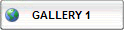 flash gallery website