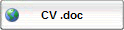 MY CV IN WORD WERSION
